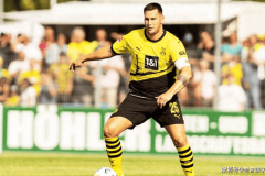 德甲生死战！多特蒙德主场冲四VS霍芬海姆逆袭，伤病潮下谁能掌控欧冠资格？