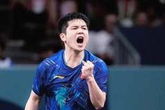 德甲60周年海报，樊振东C位！球迷误读王励勤的话，小胖归队有望