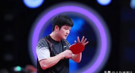 是金子总会发光,远赴德甲仅3个月,樊振东入选先进个人,太争气了