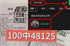德甲焦点战：云达不来梅VS科隆——攻防博弈下的胜负悬念
