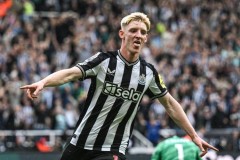 阿尔特塔相中本土快马？25岁的欧冠“射手王”，本赛季状态火热