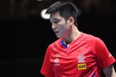 樊振东除夕一战！德甲联赛积分上升第三，3-1逆转贾哈、双打惜败